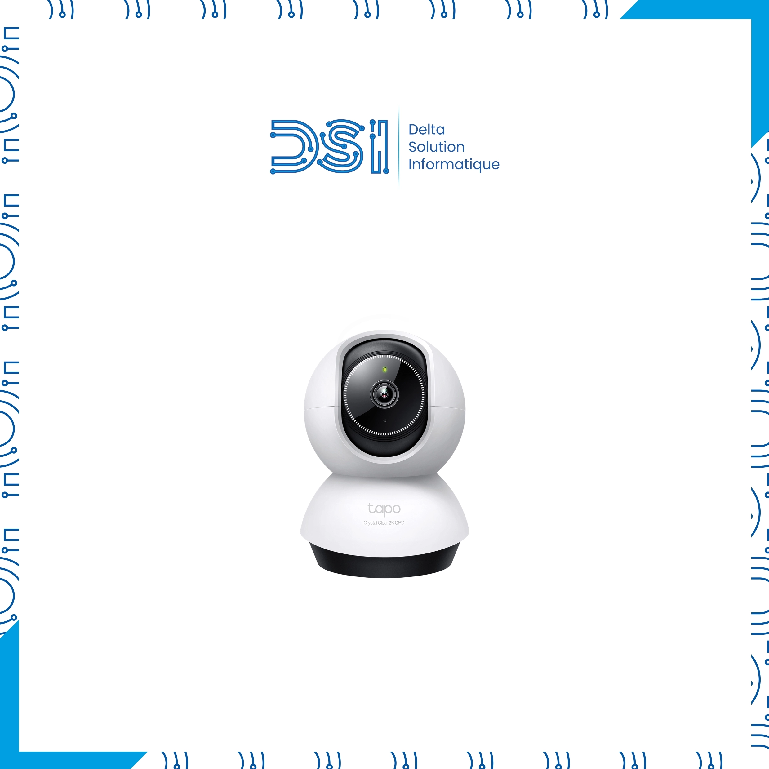 Caméra TP-Link Tapo C220